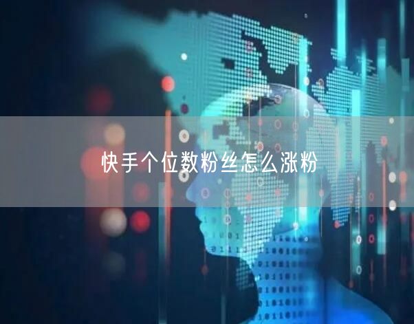 快手个位数粉丝怎么涨粉