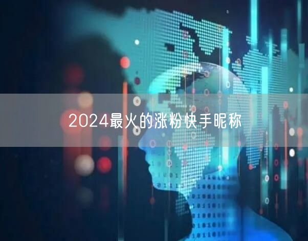 2024最火的涨粉快手昵称