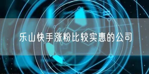 乐山快手涨粉比较实惠的公司