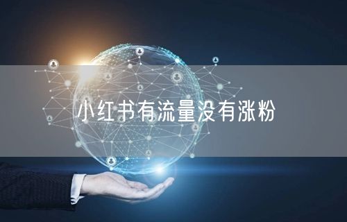 小红书有流量没有涨粉