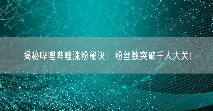 揭秘哔哩哔哩涨粉秘诀：粉丝数突破千人大关！