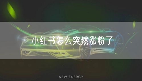小红书怎么突然涨粉了