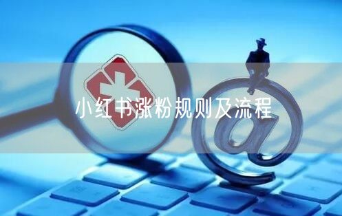小红书涨粉规则及流程