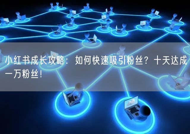 小红书成长攻略:如何快速吸引粉丝?十天达