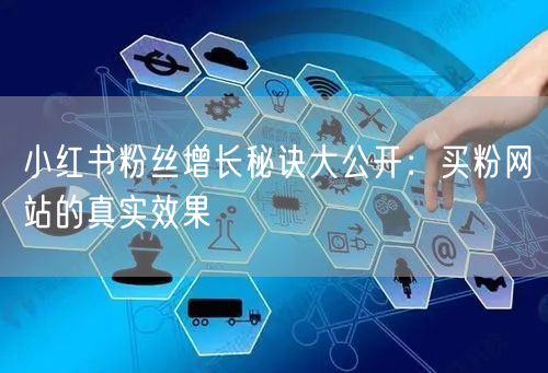小红书粉丝增长秘诀大公开：买粉网站的真实效果