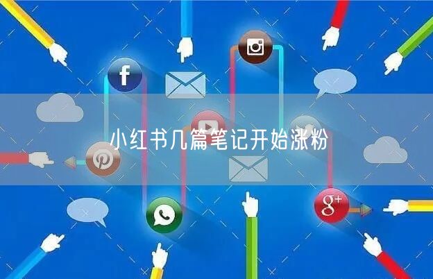小红书几篇笔记开始涨粉