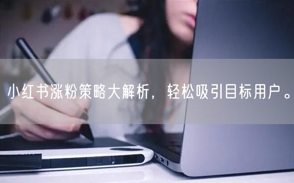 小红书涨粉策略大解析，轻松吸引目标用户。