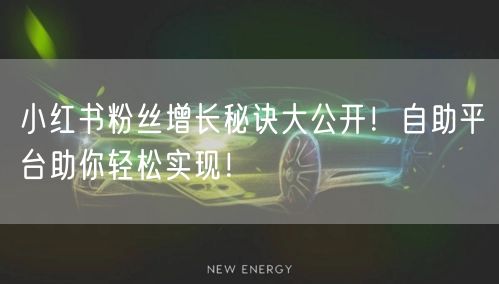 小红书粉丝增长秘诀大公开！自助平台助你轻松实现！