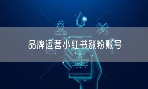 品牌运营小红书涨粉账号