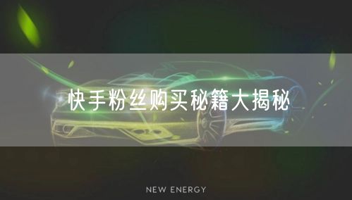 快手粉丝购买秘籍大揭秘