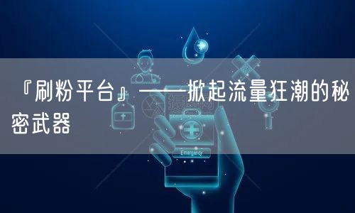 『刷粉平台』——掀起流量狂潮的秘密武器