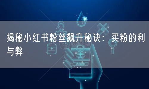 揭秘小红书粉丝飙升秘诀：买粉的利与弊