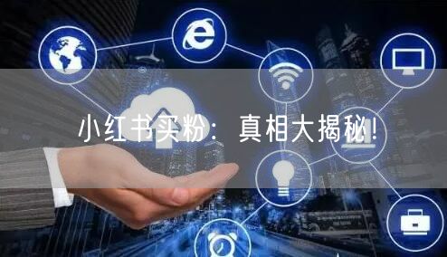 小红书买粉：真相大揭秘！