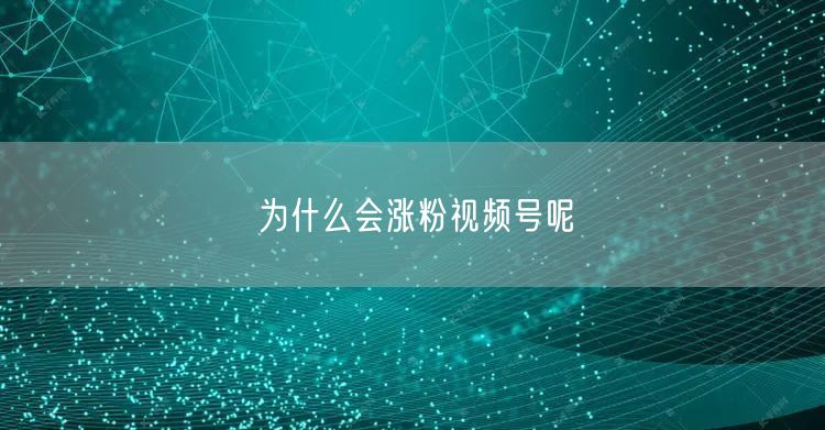 为什么会涨粉视频号呢
