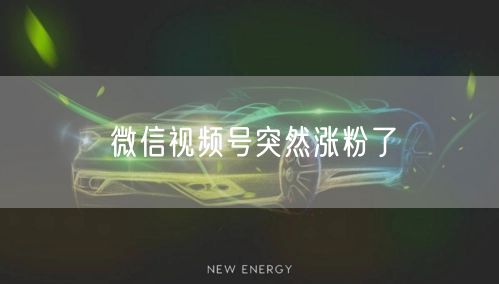 微信视频号突然涨粉了