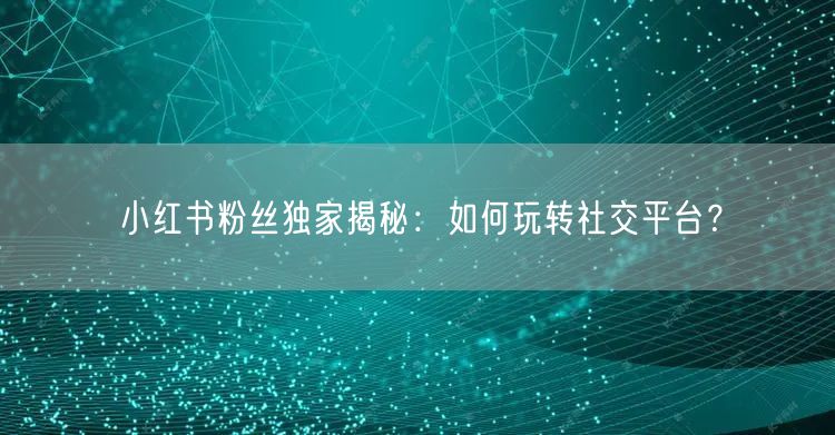 小红书粉丝独家揭秘：如何玩转社交平台？