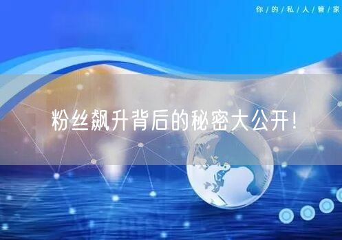 粉丝飙升背后的秘密大公开！