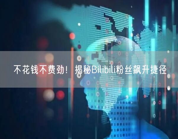 不花钱不费劲！揭秘Bilibili粉丝飙升捷径