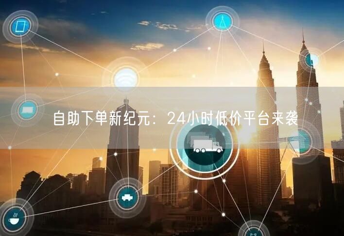 自助下单新纪元：24小时低价平台来袭