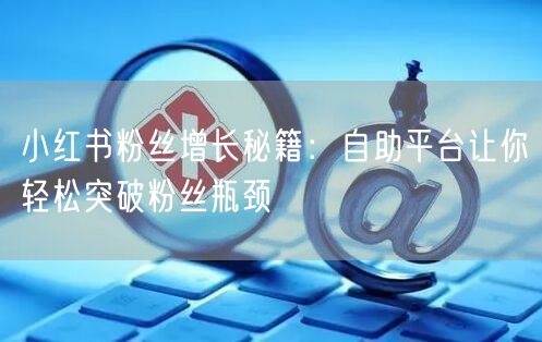 小红书粉丝增长秘籍：自助平台让你轻松突破粉丝瓶颈