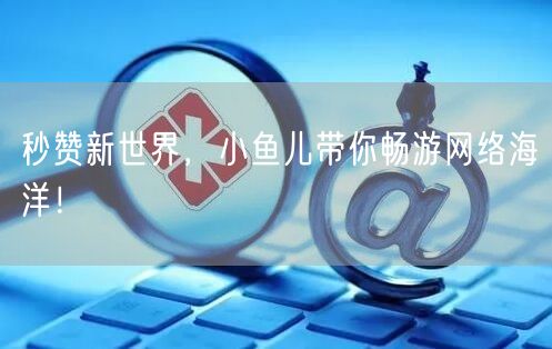 秒赞新世界，小鱼儿带你畅游网络海洋！