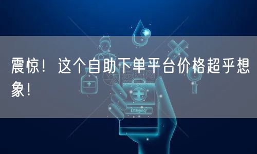 震惊！这个自助下单平台价格超乎想象！