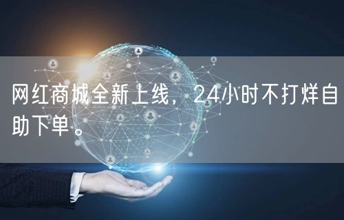 网红商城全新上线，24小时不打烊自助下单。
