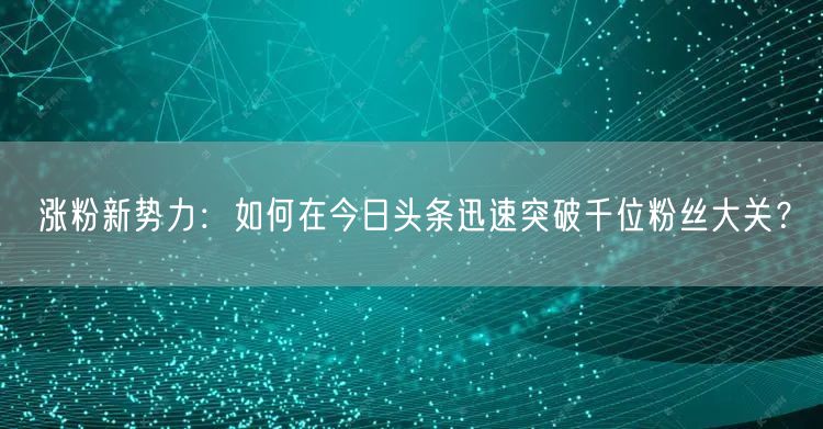 涨粉新势力：如何在今日头条迅速突破千位粉丝大关？