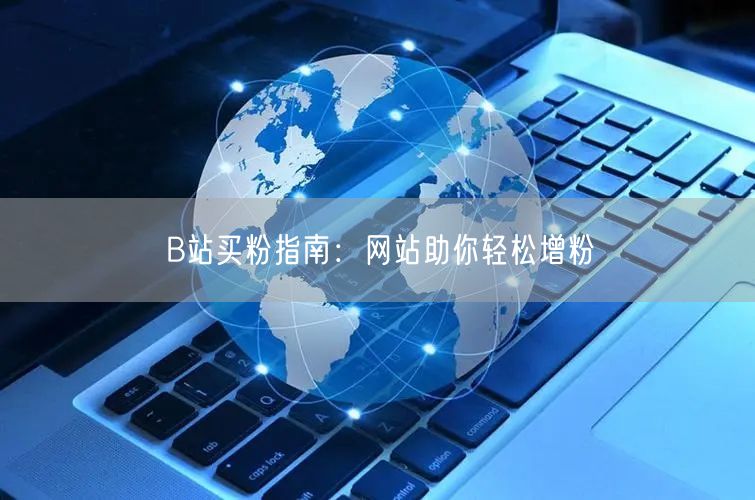 B站买粉指南：网站助你轻松增粉