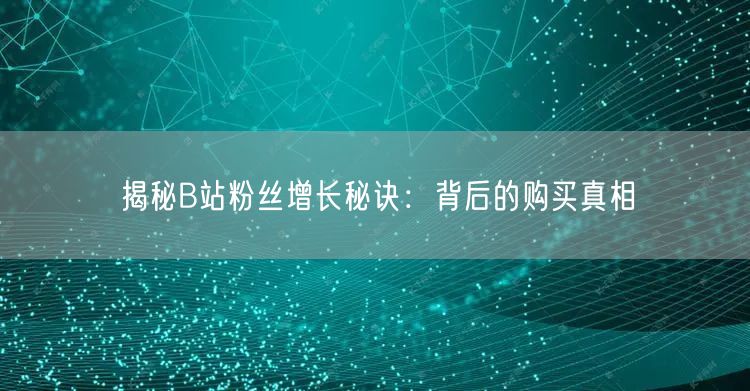 揭秘B站粉丝增长秘诀:背后的购买真相