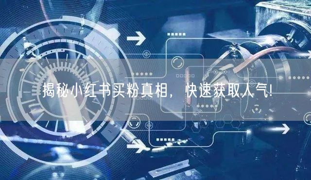 揭秘小红书买粉真相，快速获取人气!
