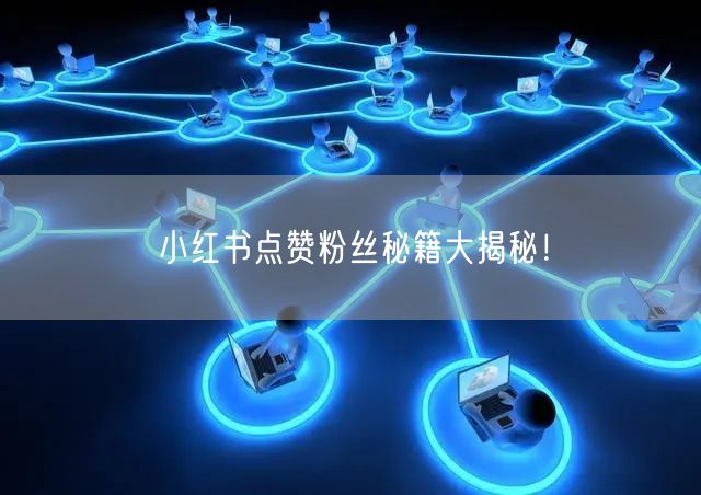小红书点赞粉丝秘籍大揭秘!