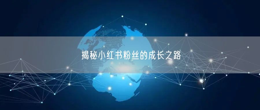 揭秘小红书粉丝的成长之路