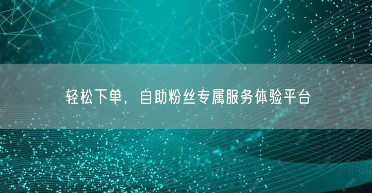 轻松下单,自助粉丝专属服务体验平台