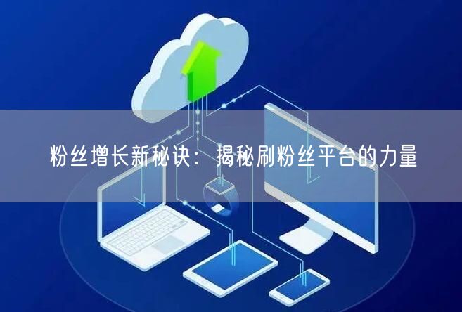 粉丝增长新秘诀:揭秘刷粉丝平台的力量