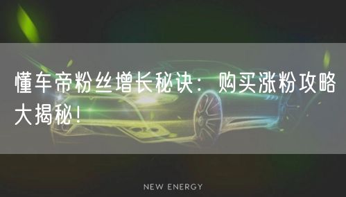 懂车帝粉丝增长秘诀：购买涨粉攻略大揭秘！