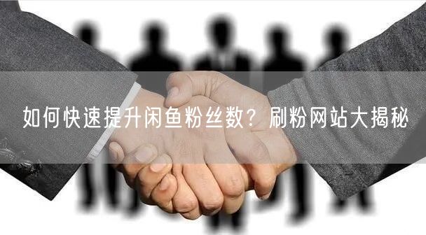 如何快速提升闲鱼粉丝数?刷粉网站大揭秘