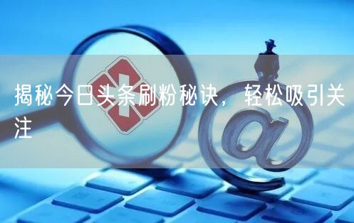 揭秘今日头条刷粉秘诀,轻松吸引关注