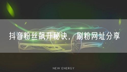 抖音粉丝飙升秘诀，刷粉网址分享