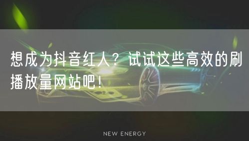 想成为抖音红人?试试这些高效的刷播放量网