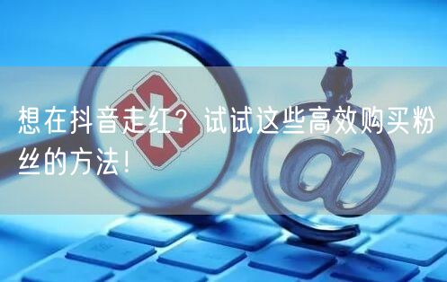 想在抖音走红?试试这些高效购买粉丝的方法