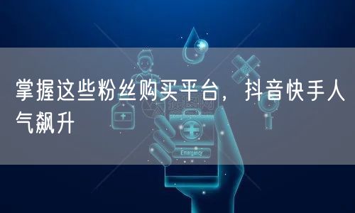 掌握这些粉丝购买平台,抖音快手人气飙升