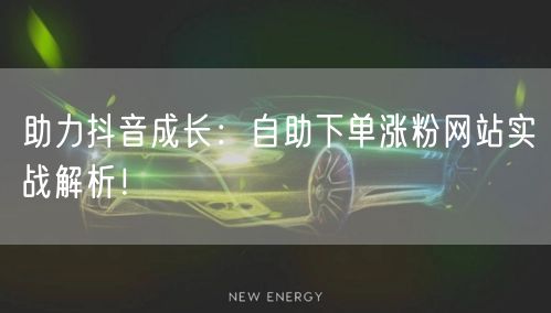 助力抖音成长:自助下单涨粉网站实战解析!