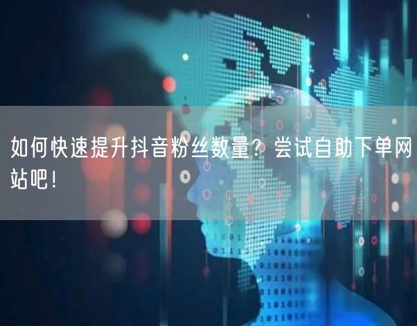 如何快速提升抖音粉丝数量?尝试自助下单网