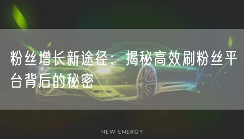粉丝增长新途径:揭秘高效刷粉丝平台背后的